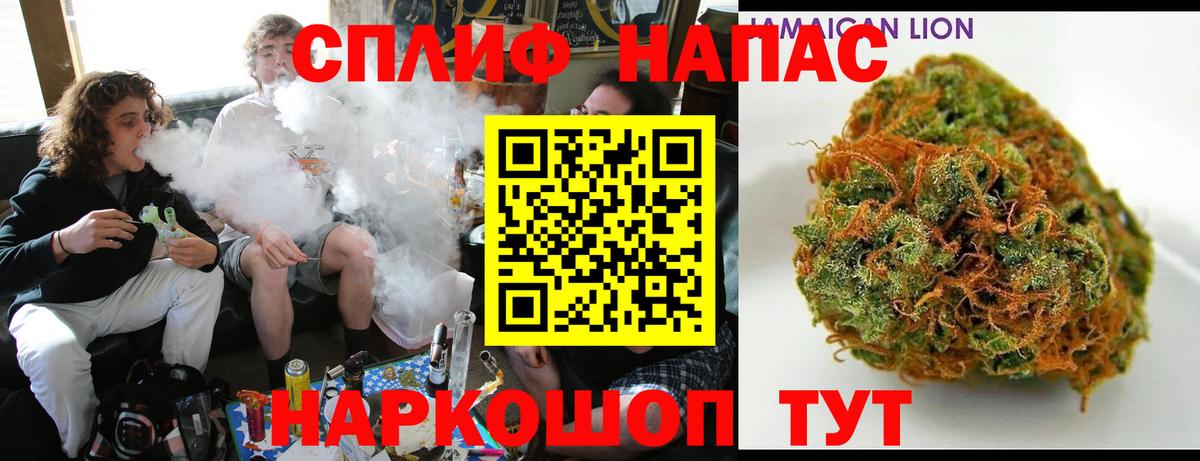 Канабис семена Сланцы